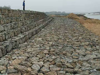 石笼网工程案例